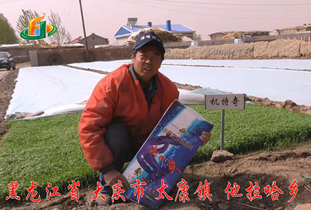 大慶-太康鎮-用戶(hu)迴訪視(shi)頻