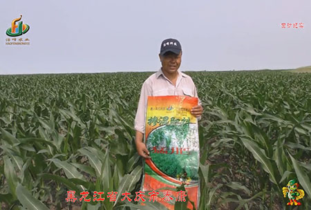 大慶泰(tai)康腰(yao)新