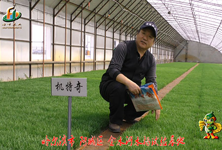 哈爾(er)濱金水河基地-用戶迴訪視頻