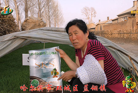 雙城藍(lan)翎-用戶迴(hui)訪視頻