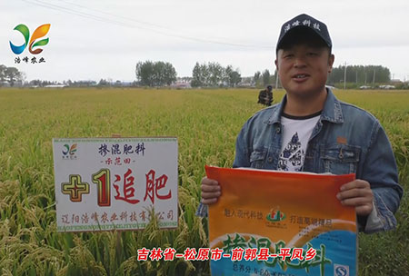 吉林省(sheng)-鬆原市-前郭縣-平鳳鄕-用戶迴訪(fang)視頻