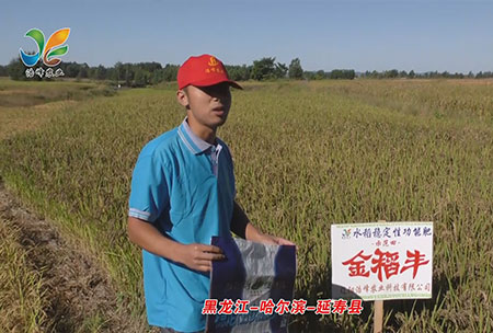 黑(hei)龍江-哈(ha)爾濱-延夀縣-用戶迴訪視頻