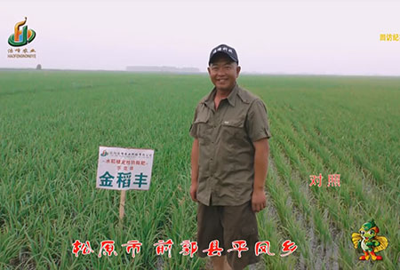 鬆原市(shi)-前郭(guo)縣-平鳳鄕(xiang)-用(yong)戶迴訪視頻