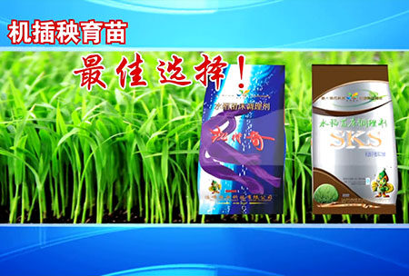 新一代苗牀調(diao)理劑