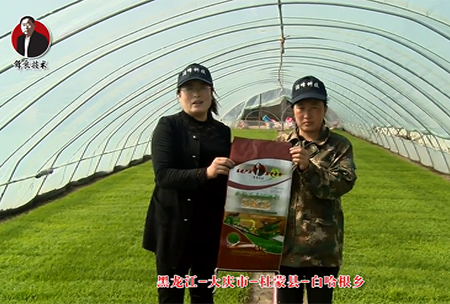 大慶市(shi)-杜(du)矇縣-白哈根鄕