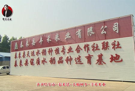 泰來縣-大榆樹鄕-豐(feng)禾米業