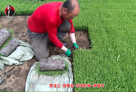 綏稜-四(si)海店鎮