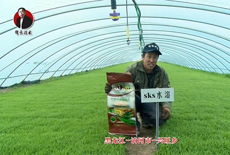 黑龍江 訥河市 興旺(wang)鄕