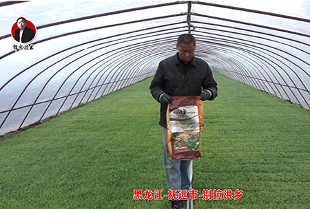 黑龍江-撫(fu)遠市-彆拉洪(hong)鄕