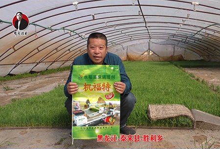 黑龍(long)江-泰來縣-勝利鄕-01