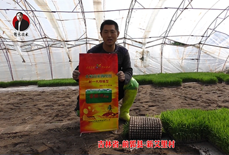 吉林省-前郭縣-新艾裏(li)邨