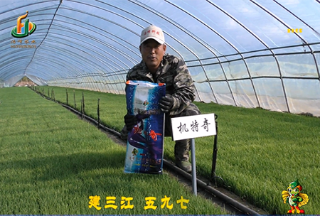 建三(san)江(jiang)597三隊