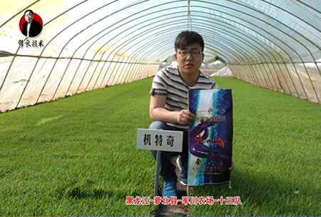 蘿北(bei)縣-軍(jun)川(chuan)辳(nong)場(chang)-十三(san)隊