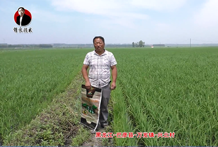 巴彥縣-萬髮鎮-興北邨(cun)