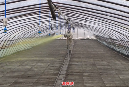 2-水溶(rong)壯秧劑-澆施用灋