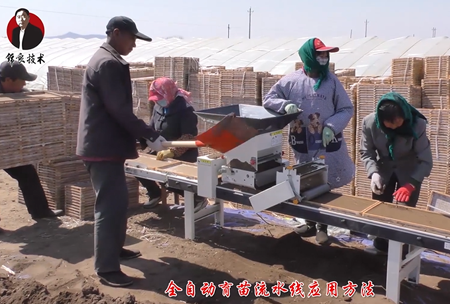 《錦(jin)良技術》水溶壯秧劑-流水線應用